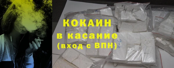 прущая мука Арсеньев