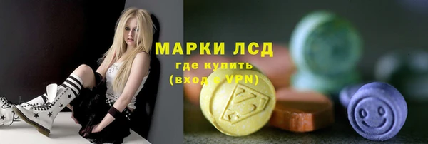 сатива Аркадак
